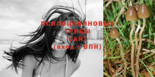 трава Баксан