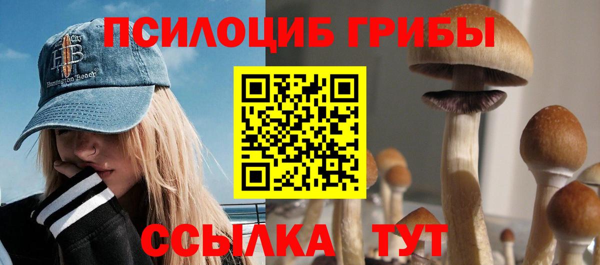 Армавир  Псилоцибиновые грибы Psilocybine cubensis  Вход с VPN  Галлюциногенные грибы GOLDEN TEACHER 